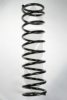 SPIDAN 49715 Coil Spring